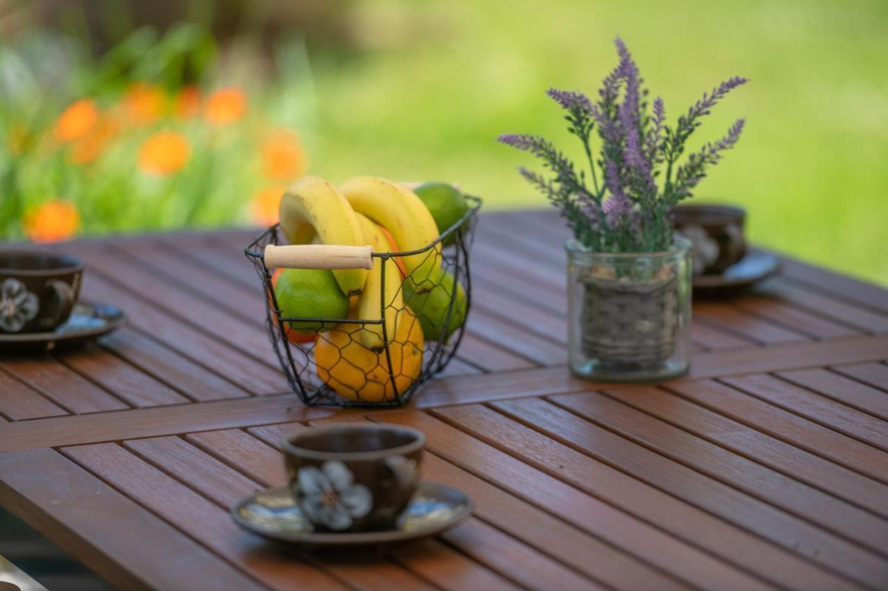 Holiday Home Dide Kanfanar Dış mekan fotoğraf